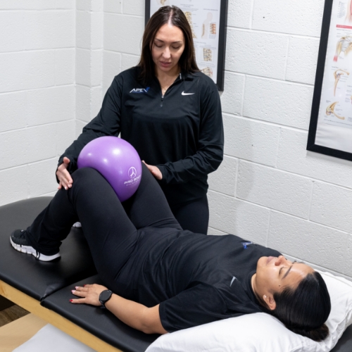 pelvic-floor-Apex-Performance-Therapy-North-Bethesda-MD