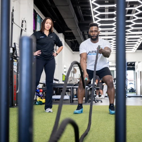 personal-training-Apex-Performance-Therapy-North-Bethesda-MD